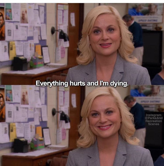 Leslie Knope meme, "Everything hurts and I'm dying." about period pain