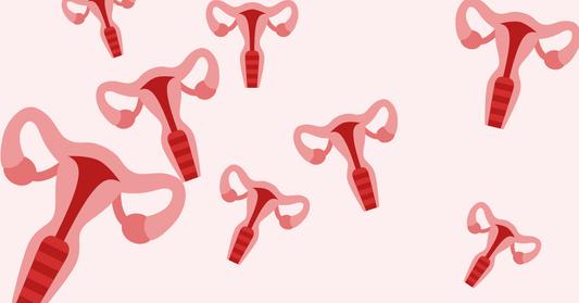 Anatomy Lesson: Vagina, Vulva, Uterus and Ovaries