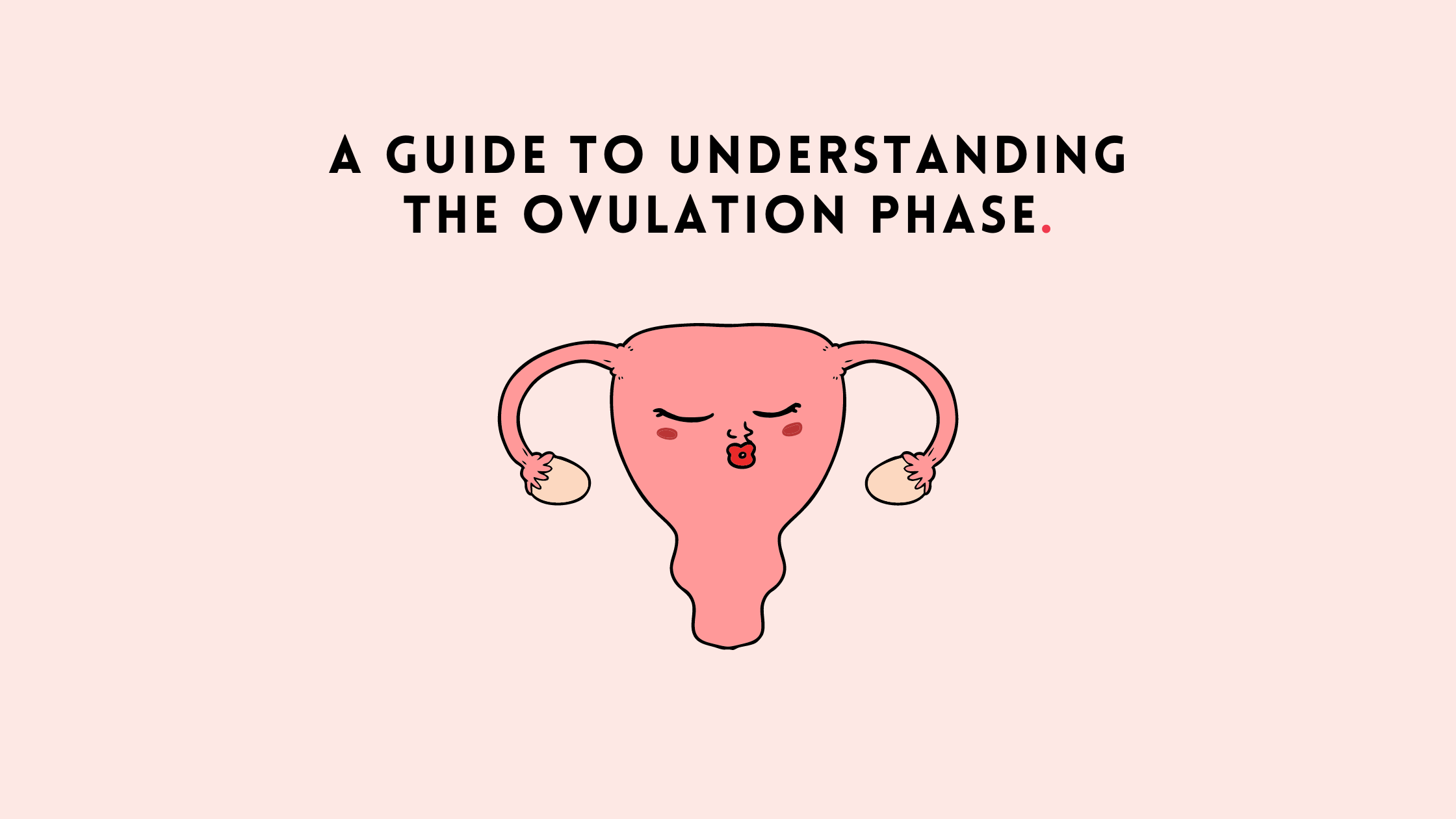 A Guide to Understanding the Ovulation Phase – The Girls Company