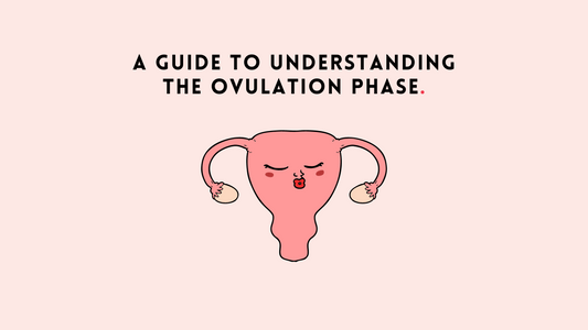 A Guide to Understanding the Ovulation Phase